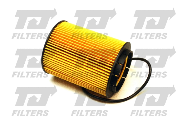 Oil Filter (QFL0213)