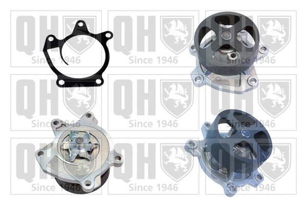 Water Pump, engine cooling (QCP3801)