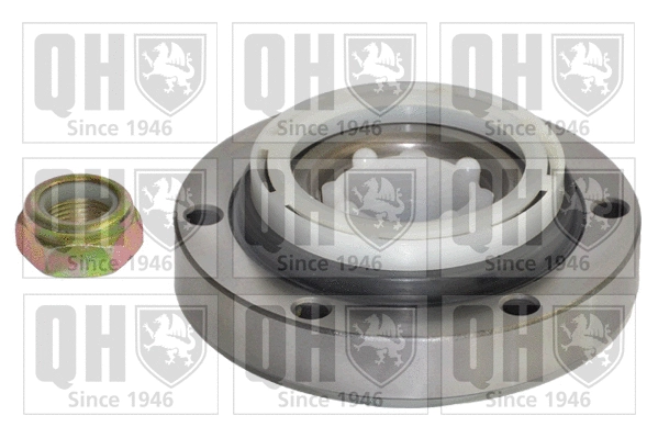 Wheel Bearing Kit (QWB467)