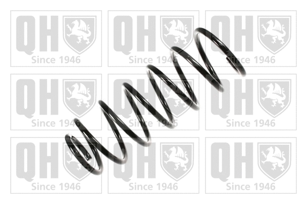 Suspension Spring (QCS6817)