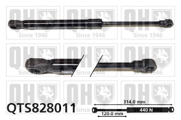 Gas Spring, bonnet (QTS828011)