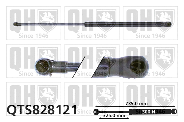 Gas Spring, bonnet (QTS828121)