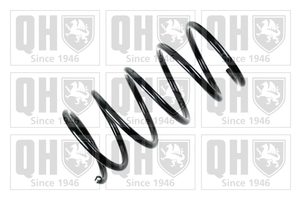 Suspension Spring (QCS6299)