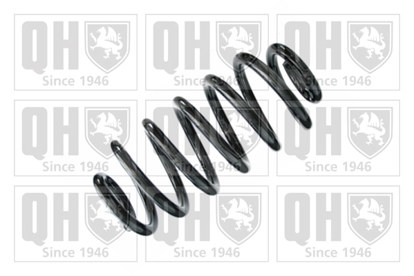 Suspension Spring (QCS8400)