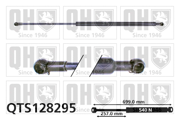Gas Spring, boot/cargo area (QTS128295)