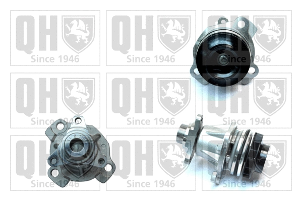 Water Pump, engine cooling (QCP3794)