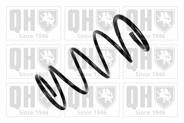 Suspension Spring (QCS8060)