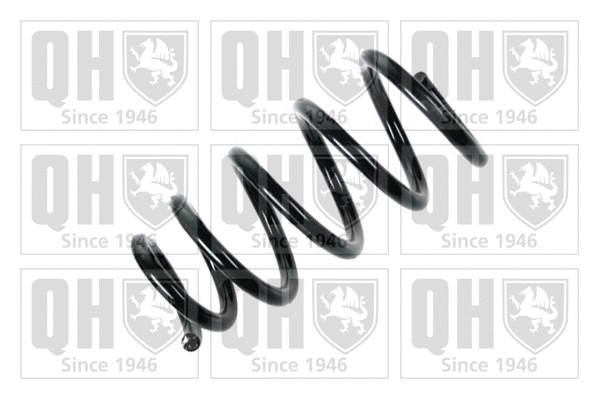 Suspension Spring (QCS7173)