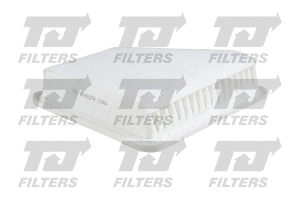 Air Filter (QFA0374)