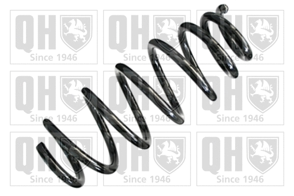 Suspension Spring (QCS6806)