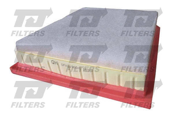 Air Filter (QFA0296)