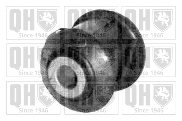 Mounting, control/trailing arm (EMS1853)