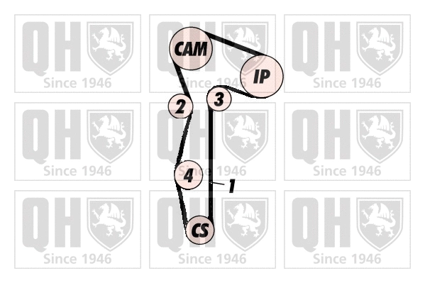 Timing Belt Kit (QBK704)