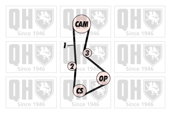 Timing Belt Kit (QBK367)