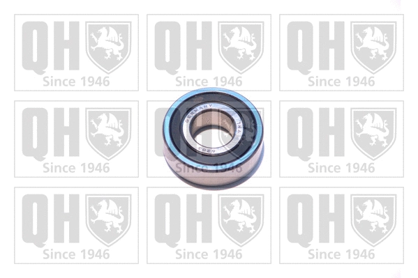 Bearing (XB9903)