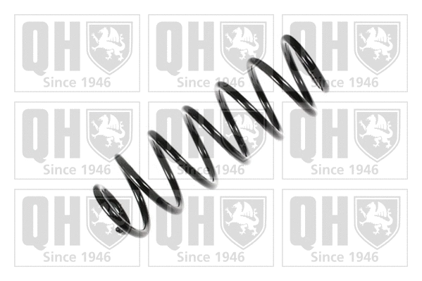 Suspension Spring (QCS8069)
