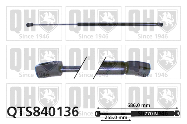 Gas Spring, boot/cargo area (QTS840136)