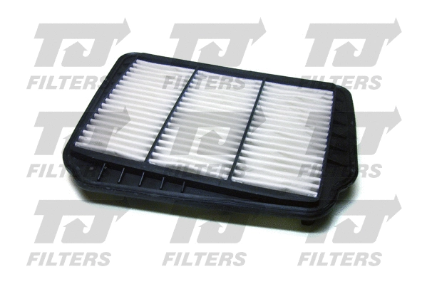 Air Filter (QFA0865)