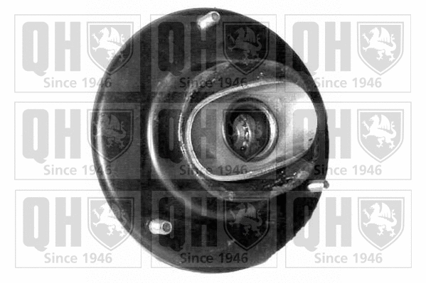 Suspension Strut Support Mount (EMA1776)