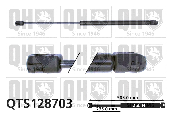 Gas Spring, bonnet (QTS128703)
