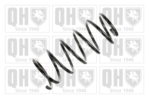 Suspension Spring (QCS6591)