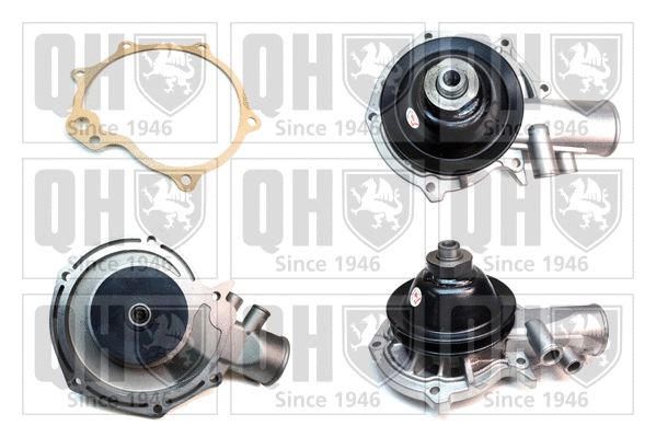 Water Pump, engine cooling (QCP2689)