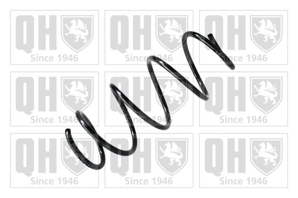 Suspension Spring (QCS6007)