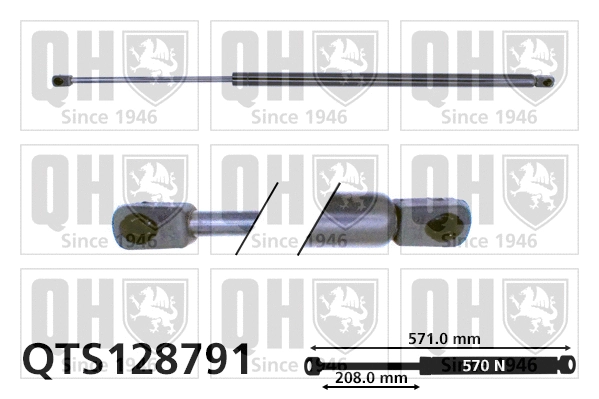 Gas Spring, boot/cargo area (QTS128791)