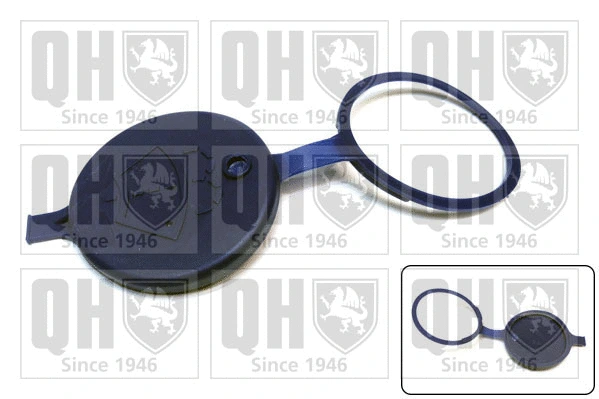 Sealing Cap, washer fluid reservoir (FC566)