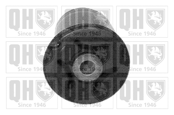 Mounting, control/trailing arm (EMS2448)