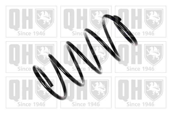 Suspension Spring (QCS5022)