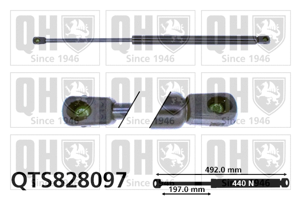 Gas Spring, boot/cargo area (QTS828097)