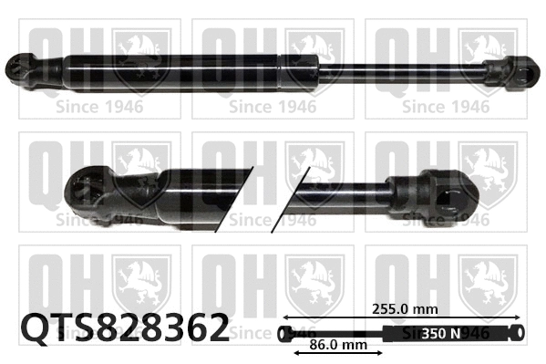 Gas Spring, boot/cargo area (QTS828362)