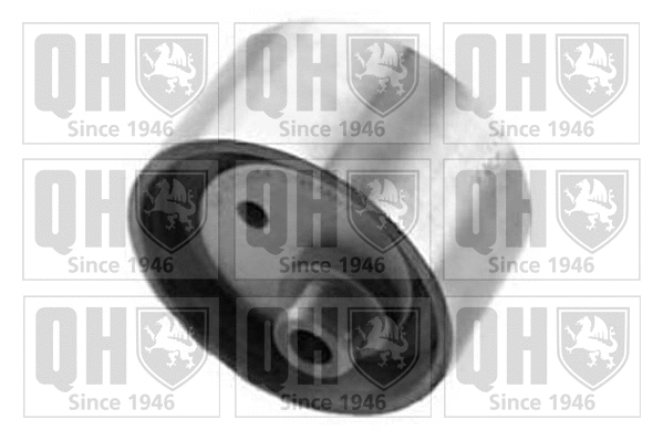 Tensioner Pulley, timing belt (QTT205)