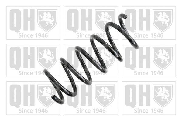 Suspension Spring (QCS7306)