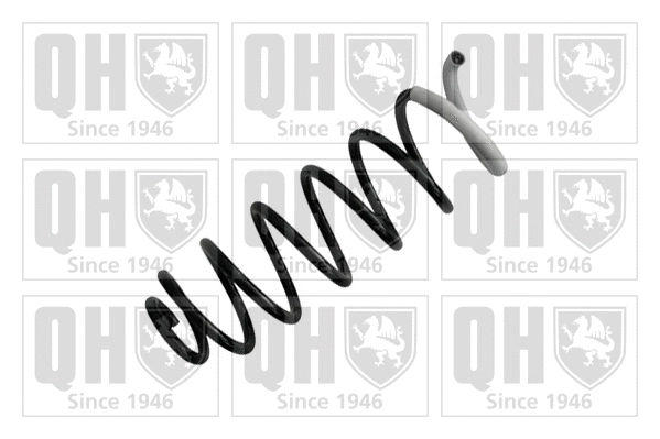 Suspension Spring (QCS5558)