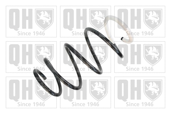 Suspension Spring (QCS6013)