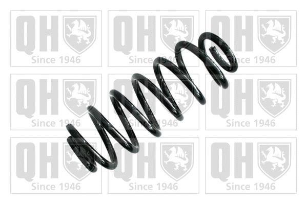 Suspension Spring (QCS8093)