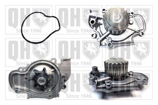 Water Pump, engine cooling (QCP3175)