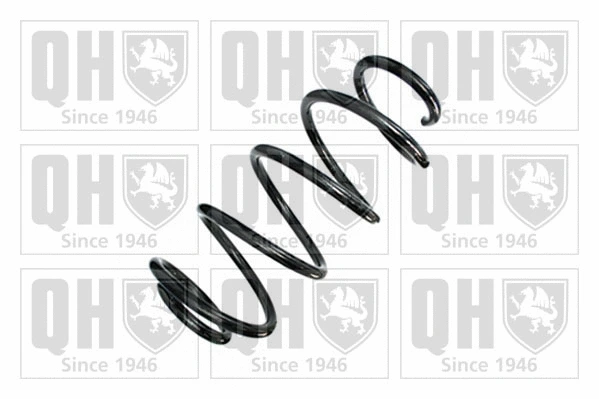 Suspension Spring (QCS8937)