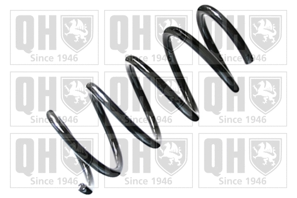 Suspension Spring (QCS6629)