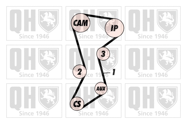 Timing Belt Kit (QBK214)