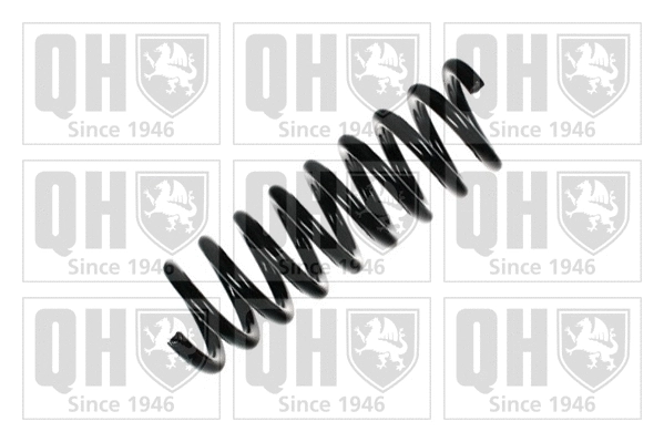 Suspension Spring (QCS7641)