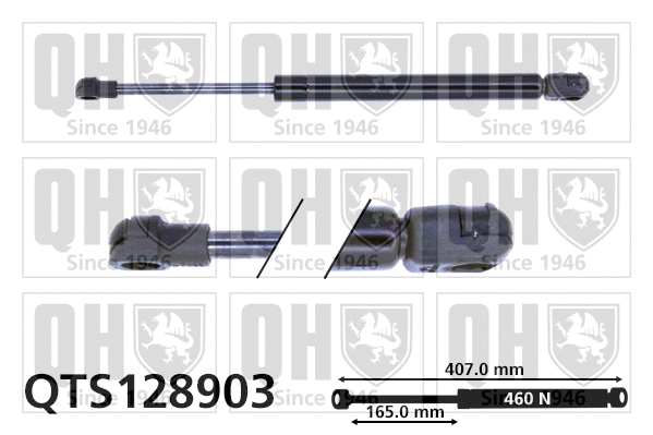 Gas Spring, bonnet (QTS128903)