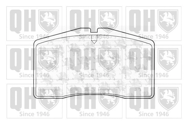 Brake Pad Set, disc brake (BP1032)