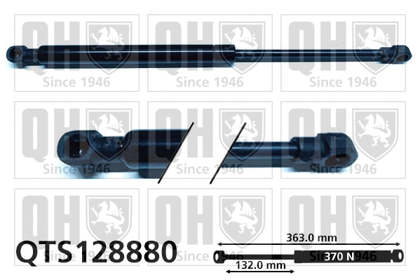 Gas Spring, boot/cargo area (QTS128880)