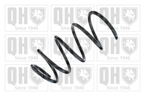 Suspension Spring (QCS8584)
