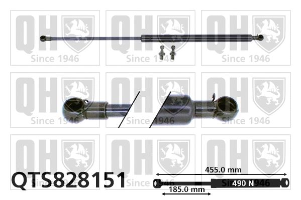 Gas Spring, bonnet (QTS828151)