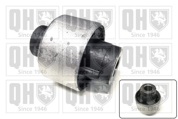 Mounting, control/trailing arm (EMS8698)