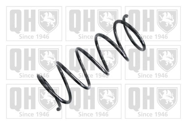 Suspension Spring (QCS7237)